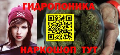 spice Абинск