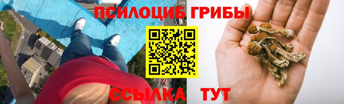 Псилоцибиновые грибы Psilocybine cubensis  Вход с VPN  Галлюциногенные грибы Psilocybe  Абакан 
